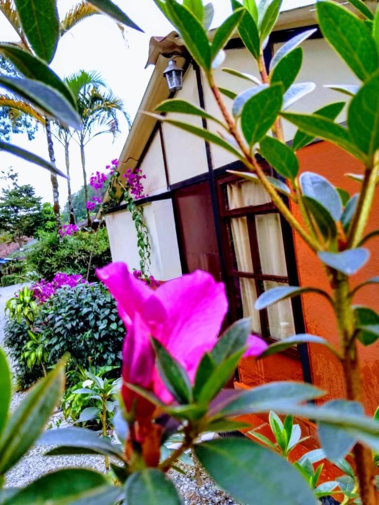 Villa Cabanas La Honda à Guatapé Extérieur photo